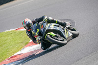 brands-hatch-photographs;brands-no-limits-trackday;cadwell-trackday-photographs;enduro-digital-images;event-digital-images;eventdigitalimages;no-limits-trackdays;peter-wileman-photography;racing-digital-images;trackday-digital-images;trackday-photos